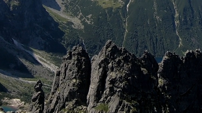 Żabia Lalka, Żabi Kapucyn, Żabi Mnich i Żabie Żeby.