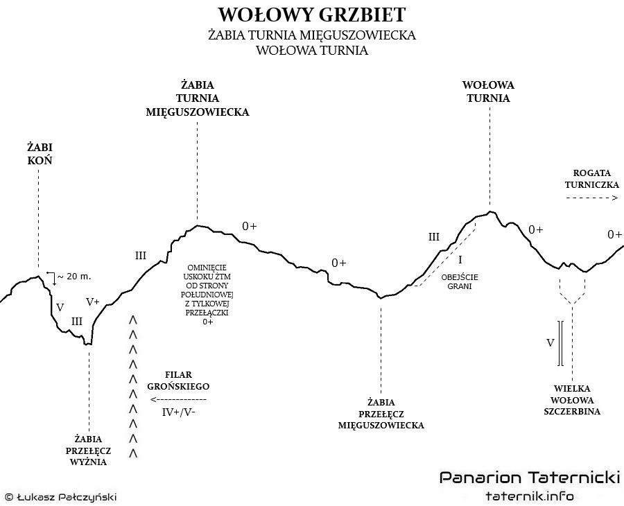 Topografia grani Wołowego Grzbietu.